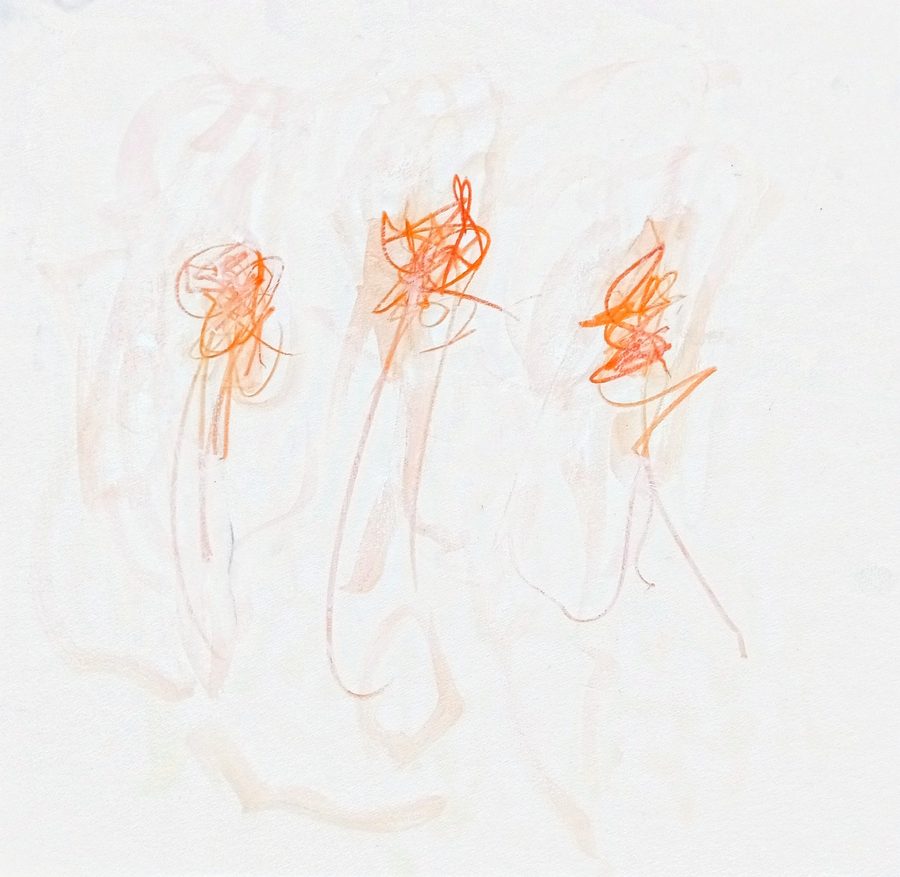 Square sheet. Three hot orange scribble-heads on tall ghosted stems, over a whole under-atmosphere of pink-tan washes where earlier drawing was dissolved with water. The densest, warmest state of the series — decay as accumulation.