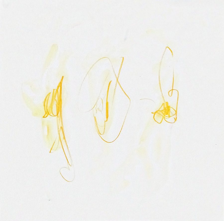 Square sheet, mostly bare white paper. Three airy tangles of yellow pencil and pastel stand upright, each hovering in a faint wash of the same yellow — line and aura in one substance. Flowers drawn as if they don't yet know they are dying. The lightest of a series of three.